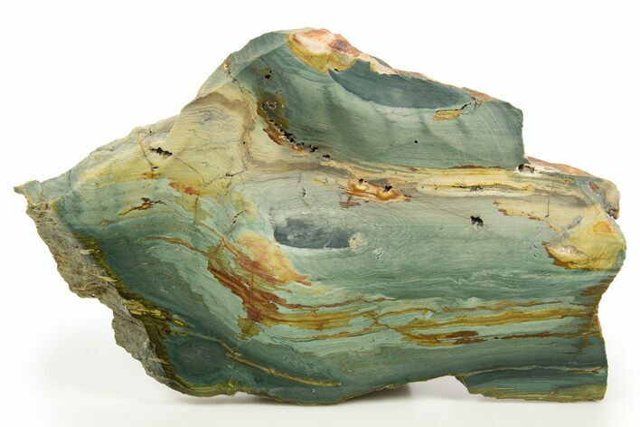 Gary Green Jasper (Larsonite) Bog Wood Slab - Oregon #322687